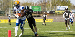 Beitragsbild des Blogbeitrags AFL WEEK 3: Giants mit Shutout in Mödling 