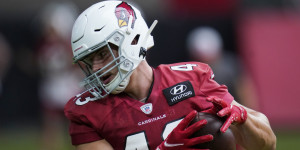 Beitragsbild des Blogbeitrags Bernhard Seikovits startet mit Arizona in seine erste NFL Saison