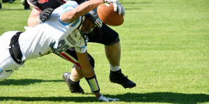 Beitragsbild des Blogbeitrags Huskies Wels lösen Play Off-Ticket