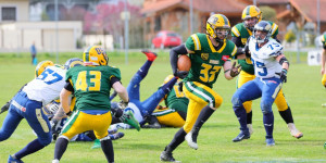 Beitragsbild des Blogbeitrags Upper Styrian Rhinos bleiben makellos