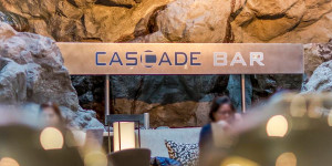 Beitragsbild des Blogbeitrags ELF Watch Parties im Vienna Marriott Hotel