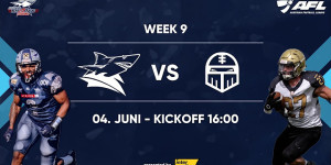 Beitragsbild des Blogbeitrags AFL LIVE: Steelsharks Traun vs. Znojmo Knights