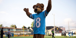 Beitragsbild des Blogbeitrags Bears und Blue Devils im Division 1 Playoff 