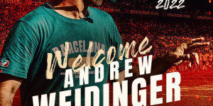 Beitragsbild des Blogbeitrags ELF “Head Coach of the Year” Weidinger wechselt nach Düsseldorf