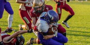 Beitragsbild des Blogbeitrags Telfs Patriots Ladies laden zum Ladies Bowl XXIII