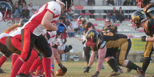 Beitragsbild des Blogbeitrags Division 2 LIVE: Weinviertel Spartans vs. Pannonia Eagles 