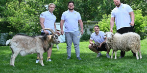 Beitragsbild des Blogbeitrags Vikings Profis übernehmen tierische Patenschaften