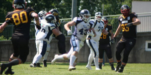 Beitragsbild des Blogbeitrags Blue Hawks siegen auch im Burgenland