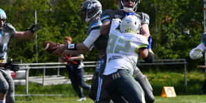 Beitragsbild des Blogbeitrags Division 2 LIVE: Styrian Reavers vs. Huskies Wels