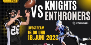 Beitragsbild des Blogbeitrags Division 1 LIVE: Vienna Knights vs. Fehérvár Enthroners 