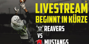 Beitragsbild des Blogbeitrags Division 2 Playoff LIVE: Styrian Reavers vs. Mustangs 