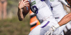 Beitragsbild des Blogbeitrags Vikings beenden Grunddurchgang perfekt