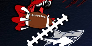 Beitragsbild des Blogbeitrags Traun und Steyr bilden eine Spielgemeinschaft