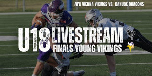 Beitragsbild des Blogbeitrags Nachwuchs Finale: Vikings sind U16 und U18 Meister 
