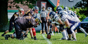 Beitragsbild des Blogbeitrags Pannonia Eagles suchen Verstärkung