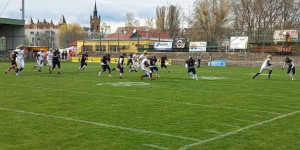 Beitragsbild des Blogbeitrags AFL LIVE: Rangers Mödling vs. Telfs Patriots