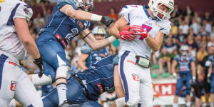 Beitragsbild des Blogbeitrags Division 1 LIVE: Steelsharks Traun vs. Amstetten Thunder