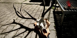 Beitragsbild des Blogbeitrags GAMEWEEK: Back to basics