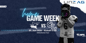 Beitragsbild des Blogbeitrags Division 1 LIVE: Steelsharks Traun vs. Carinthian Lions