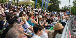 Beitragsbild des Blogbeitrags Gladiators verteidigen Platz 1 mit Niederlage