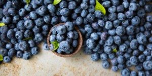 Beitragsbild des Blogbeitrags Heidelbeere Food Facts
