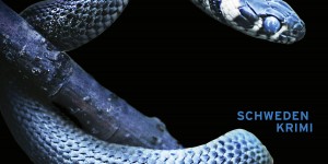 Beitragsbild des Blogbeitrags (Rezension – Werbung) Lazarus – Lars Kepler