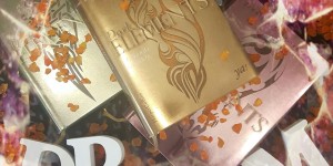 Beitragsbild des Blogbeitrags (Rezension – Werbung) Dark Elements 4: Glühende Gefühle – Jennifer L. Armentrout