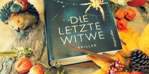 Beitragsbild des Blogbeitrags (Rezension – Werbung) Die letzte Witwe – Karin Slaughter