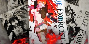 Beitragsbild des Blogbeitrags (Rezension – Werbung) Blue Exorcist 09 – Kazue Kato