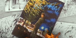 Beitragsbild des Blogbeitrags (Rezension – Werbung) Blue Flag 6 von Kaito 