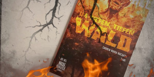 Beitragsbild des Blogbeitrags (Rezension – Werbung) Im tiefen, tiefen Wald – Carmen Maria Machado