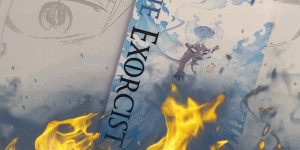 Beitragsbild des Blogbeitrags (Rezension – Werbung) Blue Exorcist 24 – Kazue Kato 