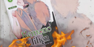 Beitragsbild des Blogbeitrags (Rezension – Werbung) Kemono Jihen: Gefährlichen Phänomenen auf der Spur 2 von Sho Aimoto 