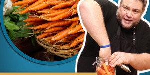 Beitragsbild des Blogbeitrags Fermentierte Karotten Rezept von Alex 