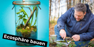 Beitragsbild des Blogbeitrags Ecosphäre selber bauen 