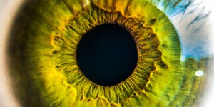 Beitragsbild des Blogbeitrags Besser sehen: Mit Augenyoga die Sehkraft stärken