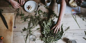 Beitragsbild des Blogbeitrags Pflanzenliebe: Meine Top 10 der heimischen Heilkräuter zum Sammeln und Verarbeiten