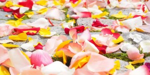 Beitragsbild des Blogbeitrags Patanjali: Der achtgliedrige Pfad des Yoga (Ashtanga Marga)