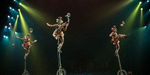 Beitragsbild des Blogbeitrags Zirkus als Zauberreich: Poesie und Perfektion beim Cirque du Soleil 