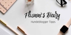 Beitragsbild des Blogbeitrags Hundeblogger werden – die 22 besten Tipps für den Start