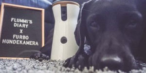 Beitragsbild des Blogbeitrags Nie mehr allein daheim – Die Furbo Hundekamera im Test