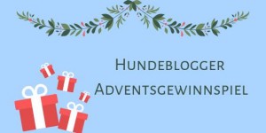 Beitragsbild des Blogbeitrags Gewinnspiel – Hundeblogger Adventsgewinnspiel