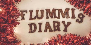 Beitragsbild des Blogbeitrags Lebkuchen für Hunde – ein leckeres Weihnachtsrezept 