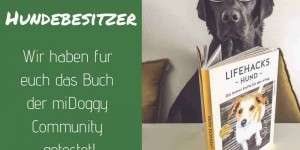 Beitragsbild des Blogbeitrags Lesetipp: Lifehacks für Hundebesitzer