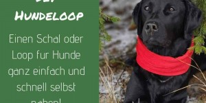 Beitragsbild des Blogbeitrags DIY: Stylischer Loop für den Hund ganz einfach selbst gemacht