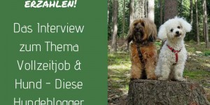 Beitragsbild des Blogbeitrags Vollzeitjob & Hund – Diese Hundeblogger erzählen! 