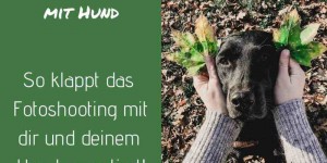 Beitragsbild des Blogbeitrags Fotoshooting mit Hund – #grumpydog Flummi im Einsatz 