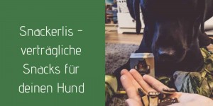 Beitragsbild des Blogbeitrags Gewinnspiel – verträgliche Snacks für den Hund! Oder: Flummi liebt Snackerli *Werbung*