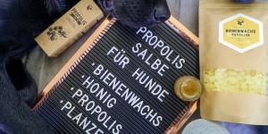 Beitragsbild des Blogbeitrags Propolissalbe für Frauchen und Hund 