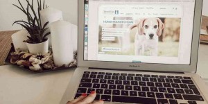 Beitragsbild des Blogbeitrags Lifeupdate: Warum ich Hundetrainerin werden möchte 